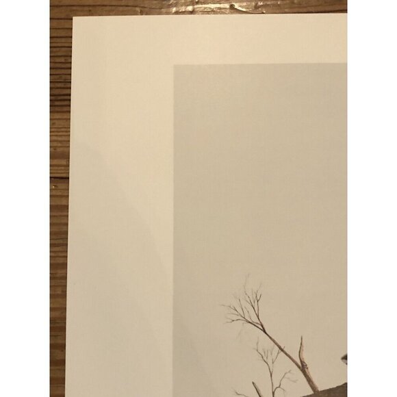 28"x14" Ltd Ed Signed Numbered Print DAWN'S RETREAT by KEN FLEISCH w/ COA 1979 - Picture 4 of 10